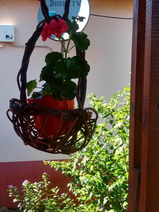 Iguazu Cabanas Πουέρτο Ιγκουασού Εξωτερικό φωτογραφία